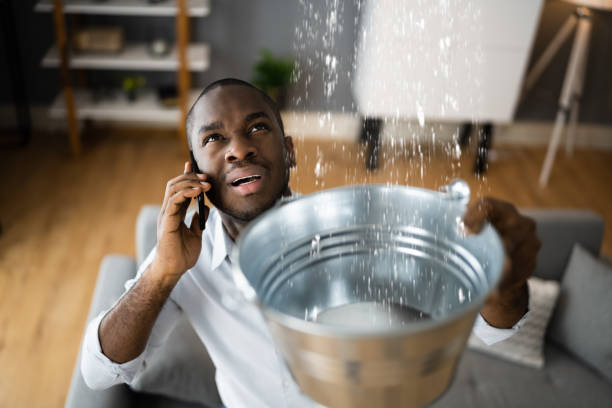 Best Professional water damage repair  in Ludowici, GA