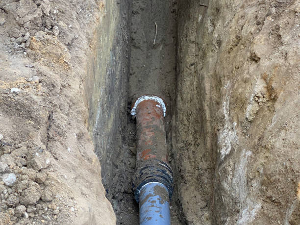 Best Sewage cleanup and water damage restoration  in Ludowici, GA