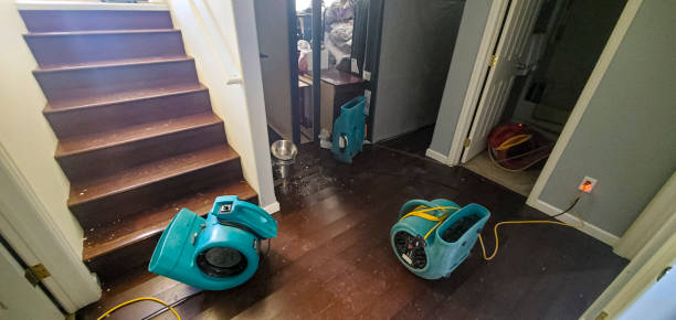 Best Flood restoration services  in Ludowici, GA