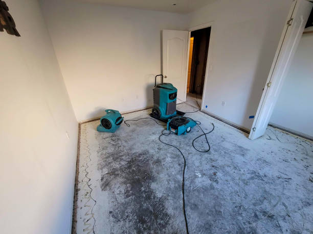 Best Mold removal after water damage  in Ludowici, GA