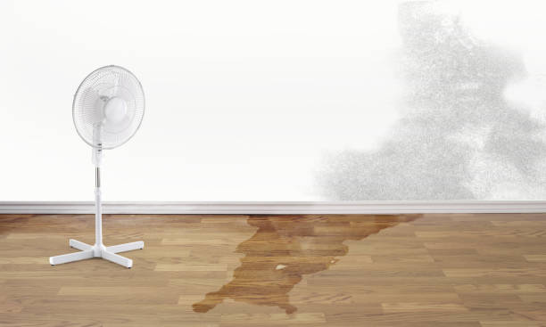 Best Sewage cleanup and water damage restoration  in Ludowici, GA