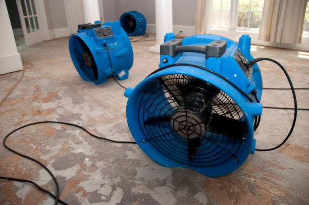 Best Ceiling water damage repair  in Ludowici, GA