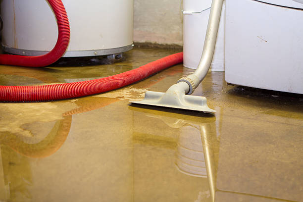 Best Commercial water damage restoration  in Ludowici, GA