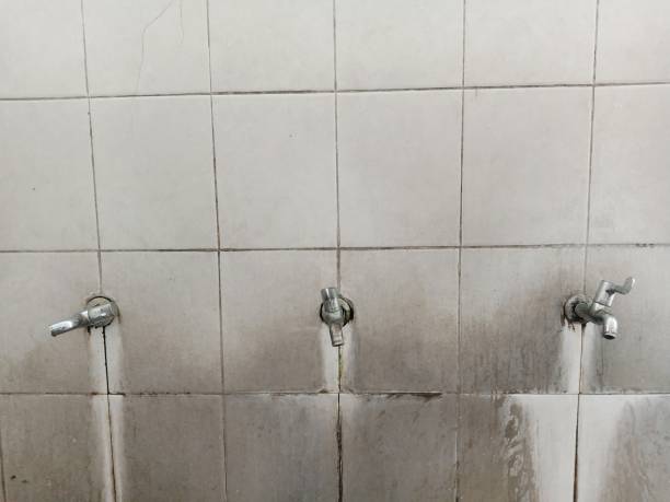 Best Water damage restoration near me  in Ludowici, GA
