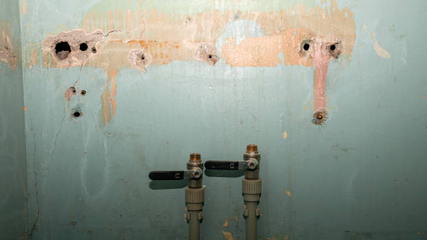 Best Water damage restoration near me  in Ludowici, GA