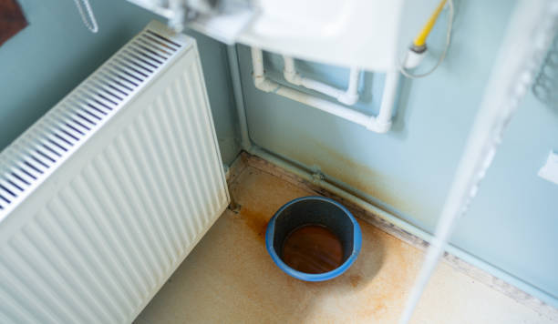 Best Water damage contractors near me  in Ludowici, GA
