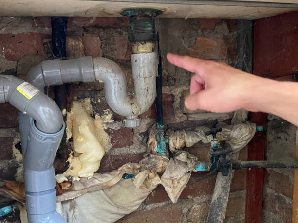 Best 24/7 water damage repair  in Ludowici, GA