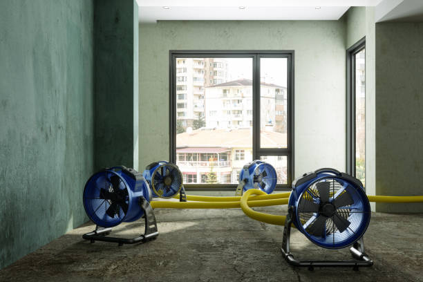 Water damage restoration mold remediation in GA